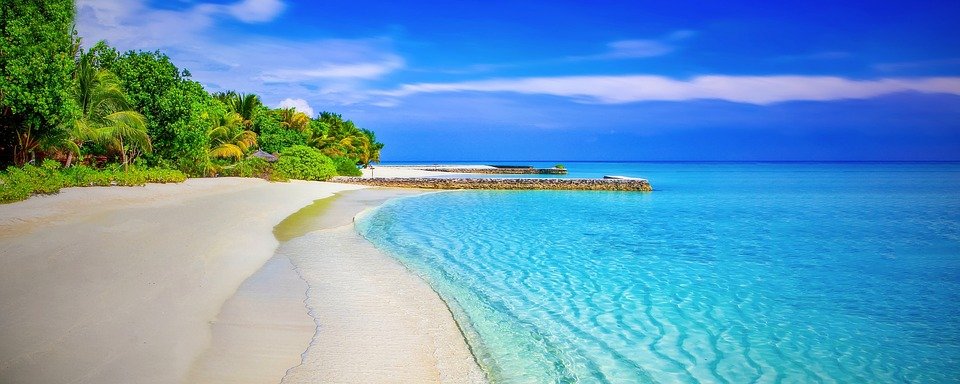 Beach, Sandy Beach, Paradise, Palm Trees, Sea, Ocean