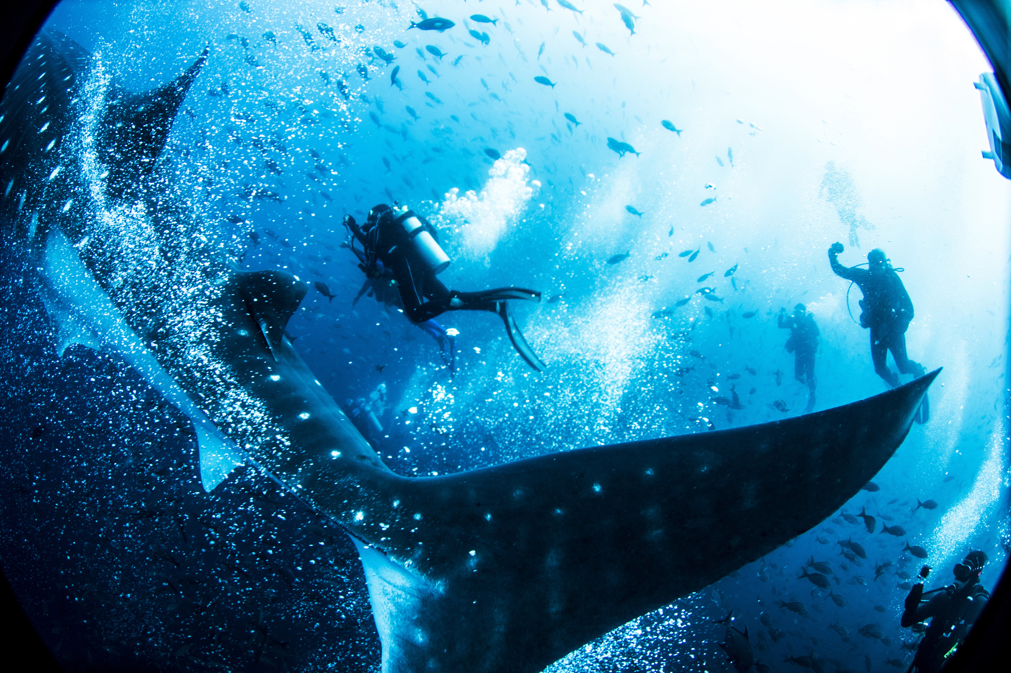 Under the Sea: Spectacular Underwater Destinations for Adventure Seekers